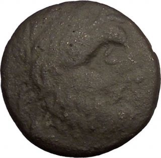 Odessos In Thrace 200bc Ancient Greek Coin Great God Heros Riding Horse I38636 photo