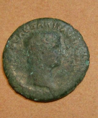 Ae As Of Claudius In The Name Of Germanicus/ 41 - 54ad/ One Of The 12 Caesars photo