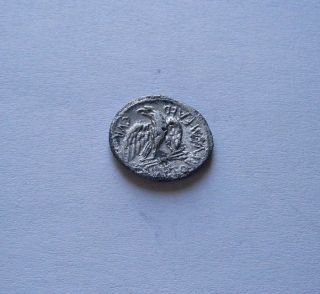 Republican Rome Silver Denarius M Plaetorius M F Cestianus 69 - 57 Bc Authentic photo