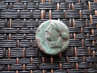 Ancient Greek Bronze Coin Unknown Very Interesting Harp / 11mm photo