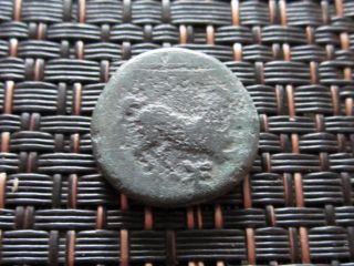Maroneia 400 Bc Ancient Greek Coin Horse Grapes / 16mm photo