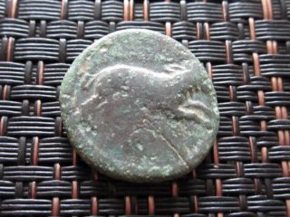 Lysimachos 323 - 281 Bc.  Athena And Lion.  Bronze Drachm Ancient Greek Coin photo