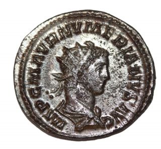 Numerian Lugdunum Silvered Antoninianus 283 - 283 Ad Ric.  388 Ancient Roman Coin photo