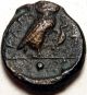 Camarina (sicily - Greek) Ae 14 Cca.  (bc 413 - 405) - Copper - 2846 Coins: Ancient photo 1