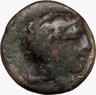 Kassander Killer Of Alexander The Great ' S Son Ancient Greek Coin Lion I43540 photo