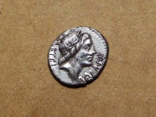 Roman Republic C.  Malleolus,  A.  Albinus & L.  C.  Metellus Denarius 96 B.  C.  S 220 photo