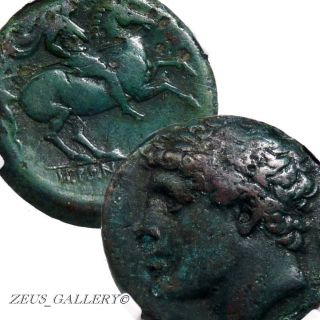Ngc Cert.  Sicily Syracuse Hieron Ii Warrior On Rearing Horse 230 Bc Sng Ans 909 photo