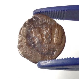 Authentic Biblical Coin Herod Agrippa I 37 - 44ad Last Judaean King,  3 Grain Ears photo