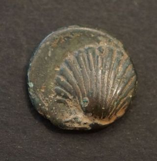 Ancient Greek Coin: Taras,  Calabria Bronze photo