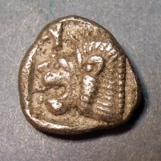 Silver Ancient Greek Mysia Kyzikos Hemiobol 480 Bc Roaring Lion Running Boar photo