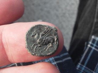 Sicilo - Punic 4th - 3rd Century Bc Extra Fine Pegasus Flying / Very Fine Palm, photo
