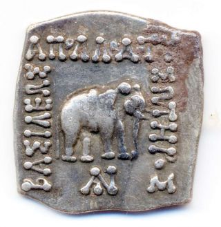 Ig16 - 01 Indo - Greek / Bactria,  Apollodotos I,  Square Drachm,  Elephant / Bull photo
