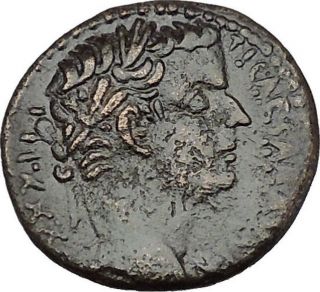 Tiberius 31ad Antioch Large Sc Quality Authentic Ancient Roman Coin I41731 photo