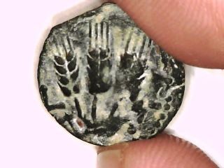 2rooks Authentic Biblical Judean Ancient Coin King Herod Agrippa Prutah photo
