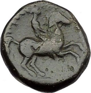 Philip Ii Alexander The Great Dad Olympic Games Ancient Greek Coin Horse I39298 photo
