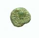 Islands Of Sicily,  Lopadusa Coins: Ancient photo 1