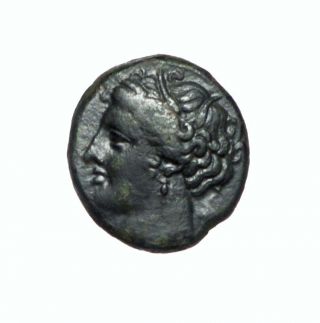 Hieron,  274 - 216 B.  C.  Bronze photo