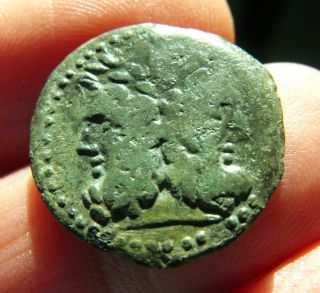 Sicily,  Panormos,  Under Roman Rule,  Bronze photo