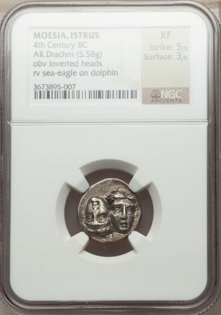 Moesia Istrus 4th Century Bc Inverted Heads Eagle On Dolphin Ngc Xf Strike5/5 photo