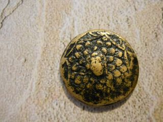 Bronze Coin Of Amisos,  Pontos,  Circa 100 Bc - - Gorgon Head photo
