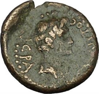 Augustus 27bc Lampsakos In Mysia Rare Ancient Roman Coin Rome Senate I40126 photo