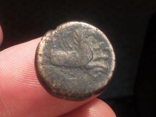 Greek Ionia Phokaia Circa 3rd Cent.  Bc Forepart Of Griffin / Hermes With Petasos photo