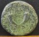 Roman Coin Commodus Coins: Ancient photo 1