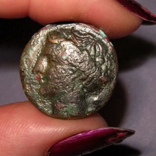 Ancient Greek Coin Sicily,  Syracuse,  Hieron Ii Æ Hemilitron,  275 - 269 Bc Bull photo