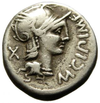 M Cipius Ar Denarius,  115 - 114 Bc photo