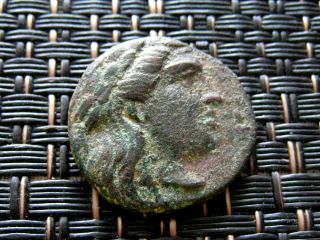 Alexandria Troas 300 - 200 Bc Head Of Apollo / Horse Grazing Ancient Greek Coin photo