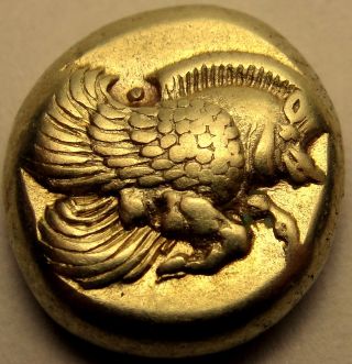 Lesbos.  Mytilene.  The Best Coin Ever.  Gold El Winged Boar &lion Firstdies Ngc Xf photo