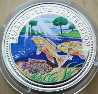 5 Dollars Liberia 1999,  Silver Proof,  Marine Life Protection,  Coloured photo
