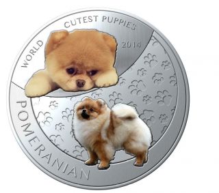 2014 One Dollar Niue Islands World Cutest Puppies Pomeranian Coin photo