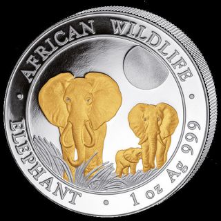 2014 Somalia Elephant Gilded In 24k Gold 1 Oz.  999 Silver Coin photo