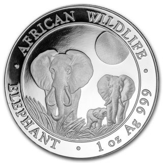 2014 Somali African Elephant 1 Oz.  999 Silver 100 Shillings photo