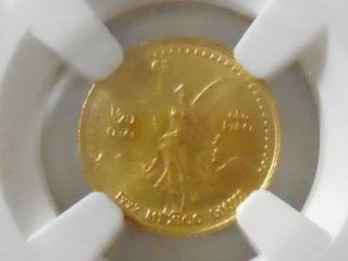 1992 1/20 Oz Gold Mexican Libertad Coin Ms Ngc 69 2791441 - 015 Uncirculated photo