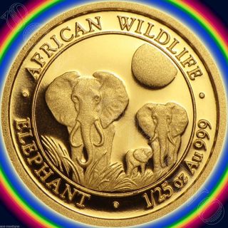 2014 Somalia Gold Elephant 1/25 Oz 24k Proof Coin In Capsule African Wildlife photo