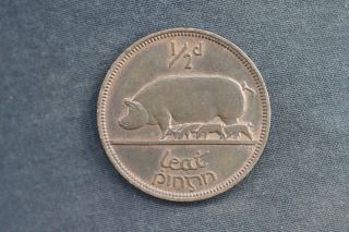 Unc Irish 1953 Halfpenny 1/2d Coin photo