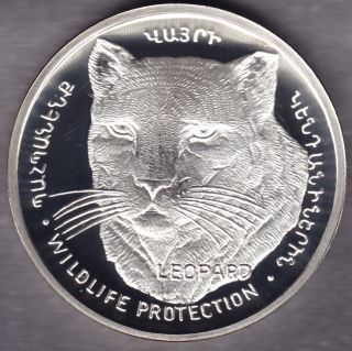 Nagorno - Karabakh Armenia 1000 Dram 2004 Silver Coin.  Rare Wildlife Coin Leopard photo