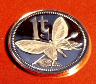 Rare Proof 1975 Papua Guinea 1 Toea Paradise Wing Butterfly Low Mintage 42k photo