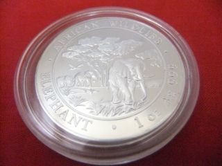 2012 Somalia Elephant 1 Oz Silver Coin Uncirculated In Airtite Capsule photo