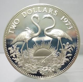 Bahamas 1973 Flamingo Two Dollars Large 92.  5 Silver Proof Coin Unc photo