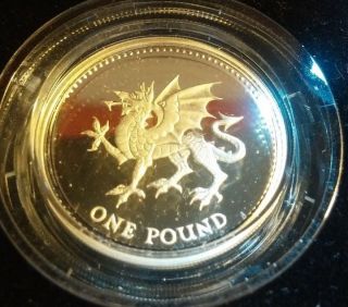 1995 Silver Proof Piedfort British Pound photo