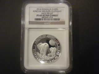 2014 Somalia High Relief African Elephant 1oz Silver Proof Coin; Ngc Pf69 photo
