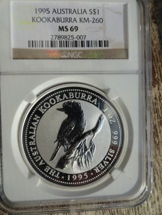 1995 Australia Silver Kookaburra Dollar 1 Oz Ngc Ms69 photo