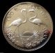 , Bahamas 1971 2 Dollars Elizabeth Ii Flamingo Silver Proof Luster North & Central America photo 1