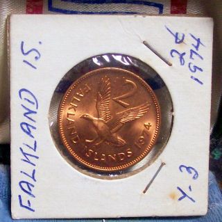 Uncirculated Km 3a Falkland Islands 1974 2 Cents1st Year72k Minted Upland Goose photo