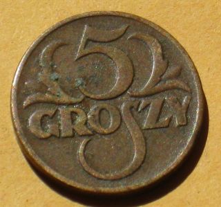 Old Coin Of Poland - 5 Groszy 1937 Ii Republic photo