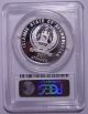 Afghanistan 500 Afghanis 1998 Silver Pcgs Pr69dcam Marco Polo Sheep Only 100 Ps Middle East photo 1