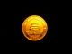 China Panda Gold Coin 1994 Circulated 5 Yuan 1/20 Ounce Pure Gold.  999 Insured China photo 1
